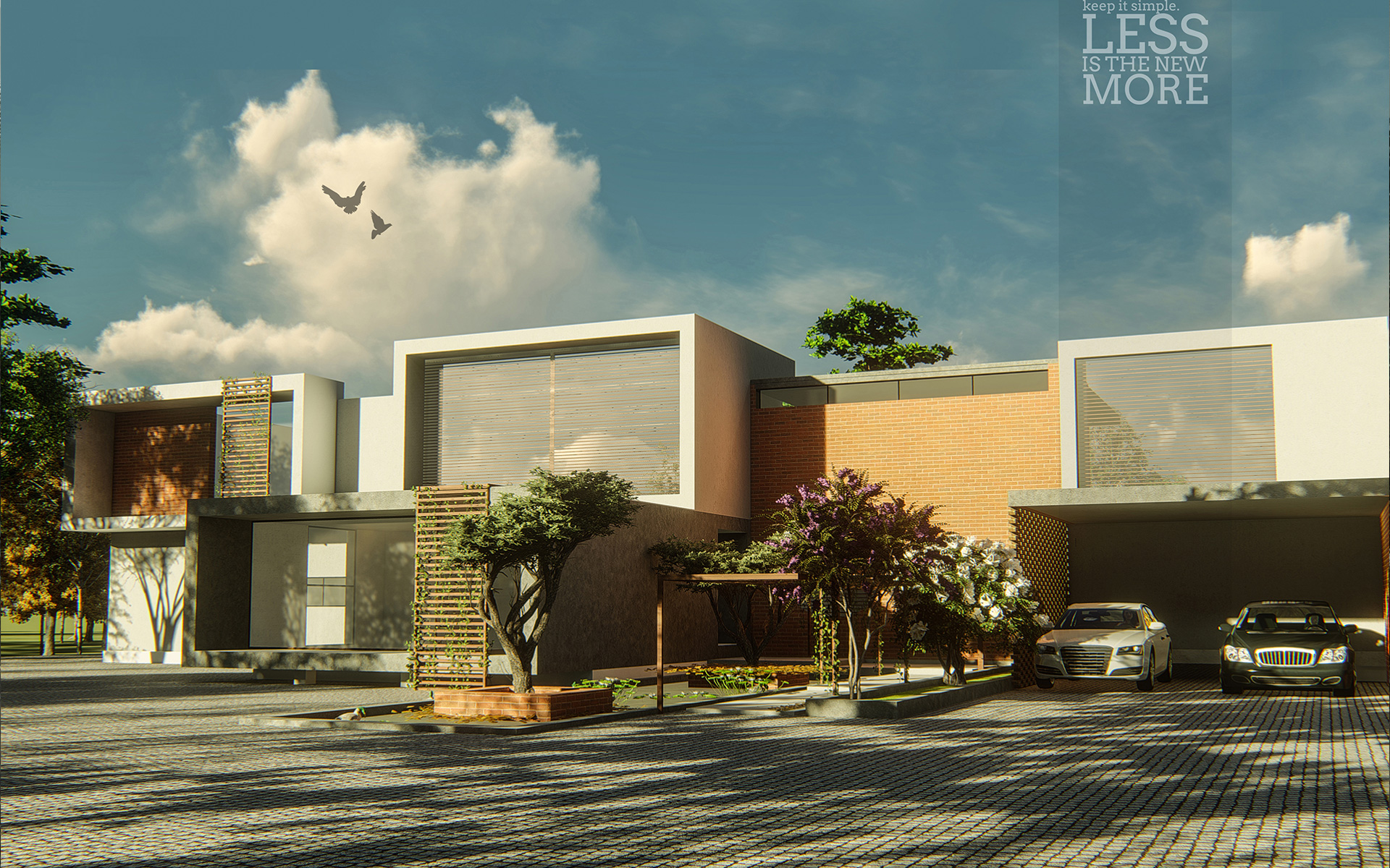 parellel wall house design